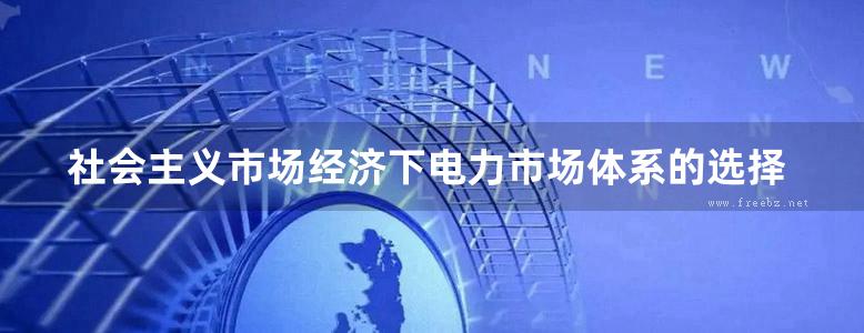 社会主义市场经济下电力市场体系的选择研究 宋枫等著 (2020版)